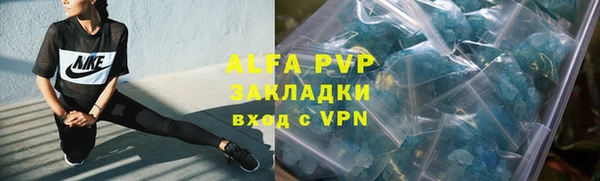 спиды Инсар