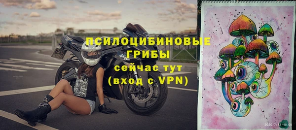 спиды Инсар