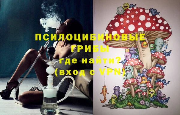 спиды Инсар