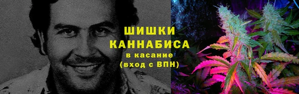 спиды Инсар