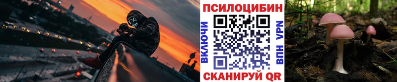 Псилоцибиновые грибы мухоморы  Купить  Брянск 